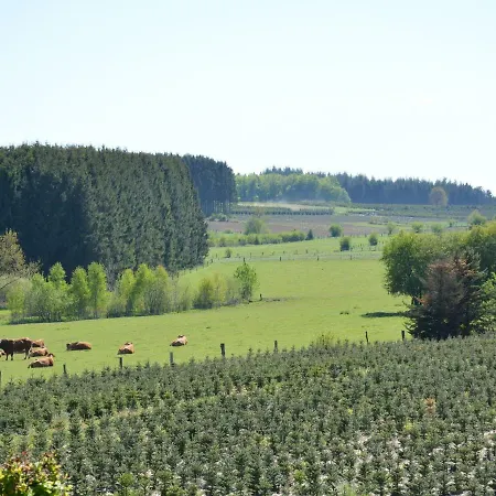 Дом отдыха Cote Sud *